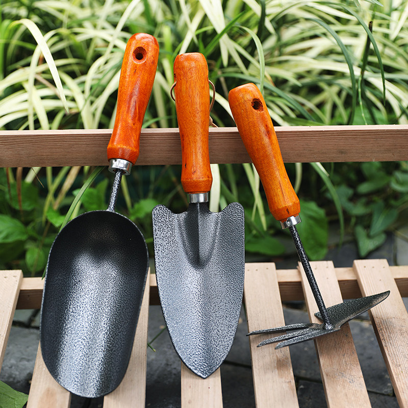 种花种菜赶海专用工具家用小铲子三件套松土神器园艺盆栽翻地花铲,淘宝优惠券,粉丝福利购,淘宝优惠卷