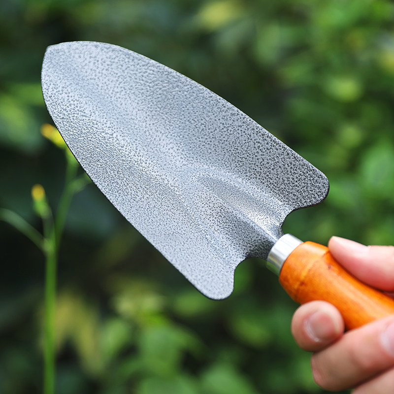 种花种菜赶海专用工具家用小铲子三件套松土神器园艺盆栽翻地花铲,淘宝优惠券,粉丝福利购,淘宝优惠卷