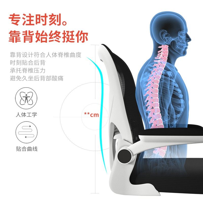 舒适久坐家用书房弓形座椅书桌椅子 界派电脑椅