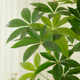 B&B high-end floor-standing decorative ornaments