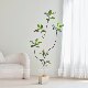 High-end light luxury simulated green plants, high quality and high simulation