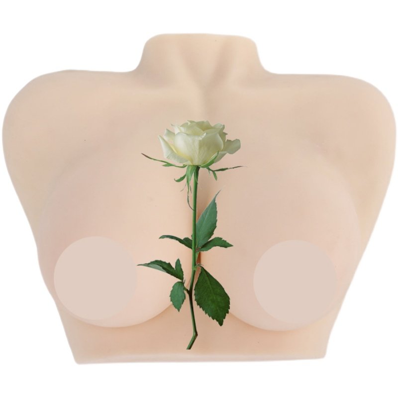 高级医学仿真女性乳房义乳假乳催乳师培训教具哺乳教学纯硅胶模型,淘宝优惠券,粉丝福利购,淘宝优惠卷