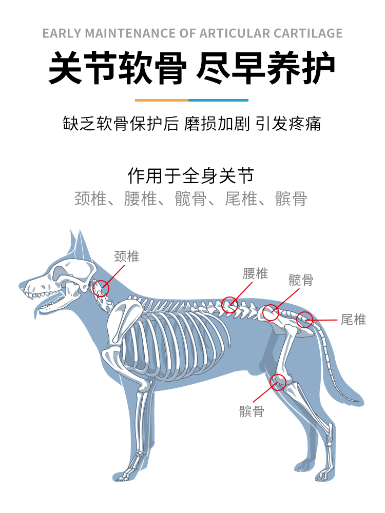 PLUXE鲨鱼软骨素狗狗关节片猫咪折耳猫宠物关节修护软骨素狗健骨