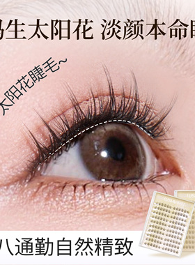 荔树太阳花假睫毛免胶女自然仿真韩系太阳花2026热卖妈生眼睫毛