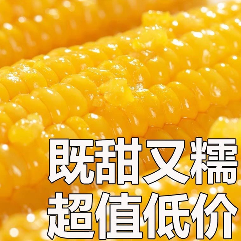 10根玉米新鲜糯玉米棒甜旗舰店粘黏真空包装袋即食东北早餐黄苞米