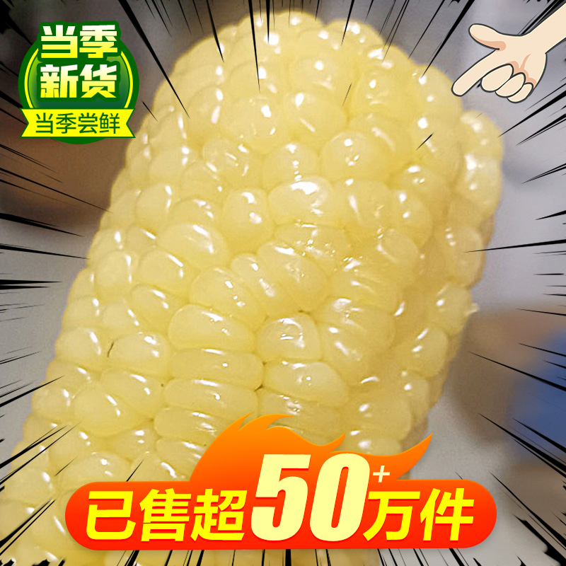 东北玉米糯玉米新鲜真空袋装包加热即食软糯香甜黏粘白玉米棒苞米