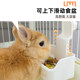 Xiaopet Wuyou adjustable hanging food bowl imported from Japan