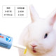 Help you strengthen probiotics rabbit special probiotics rabbit chinchilla hamster probiotics Yideyi rabbit paste 30ml