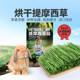 Drying timothy hay rabbit chinchilla guinea pig food