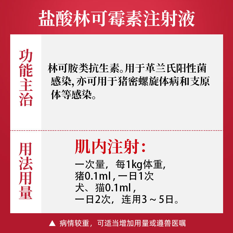 吉博士10%盐酸林可霉素注射液兽药兽用猪用药支原体产后消炎-图0