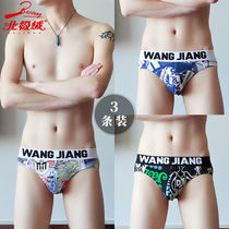 Mens underwear Triangle pants cotton breathable underpants Mens youth printed underpants for boys Low waist shorts