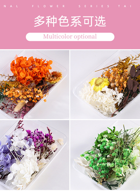 蔓玥手作干花团扇相框DIY材料