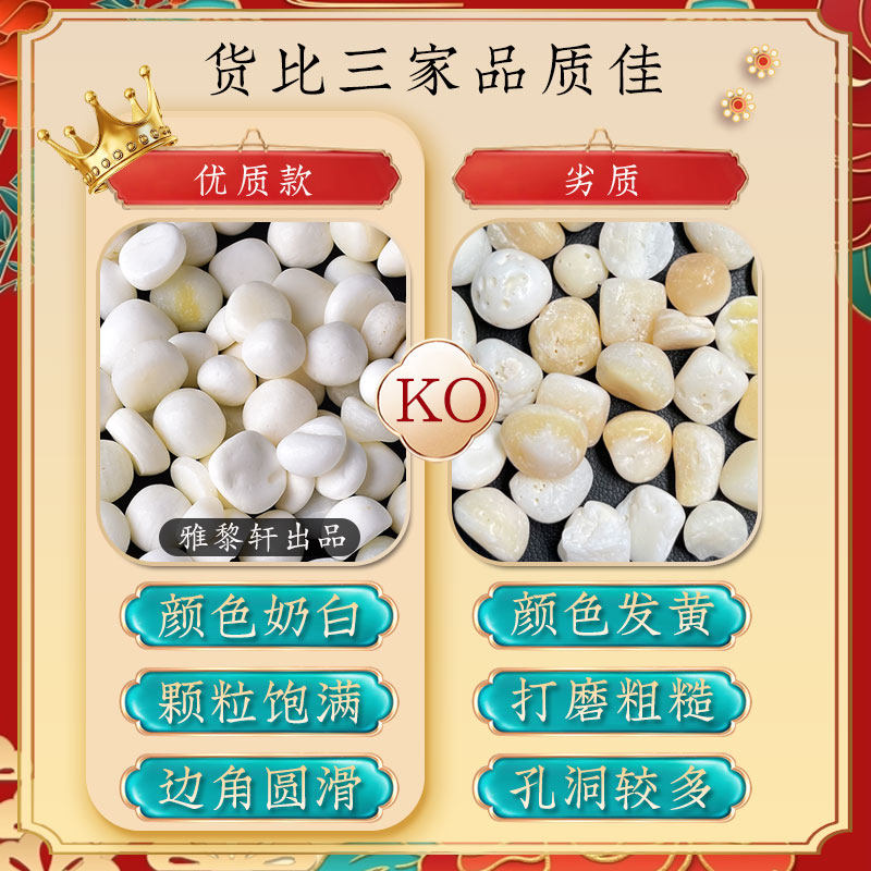 天然海南深海白贝壳原石化石摆件供曼扎装藏七宝石装饰品造景石头,淘宝优惠券,粉丝福利购,淘宝优惠卷