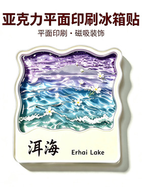 山东济南趵突泉锦鲤亚克力磁吸冰箱贴创意旅游打卡收藏纪念伴手礼