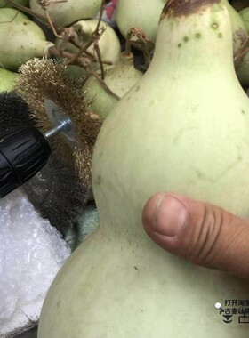 不锈钢葫芦去皮钢丝刷