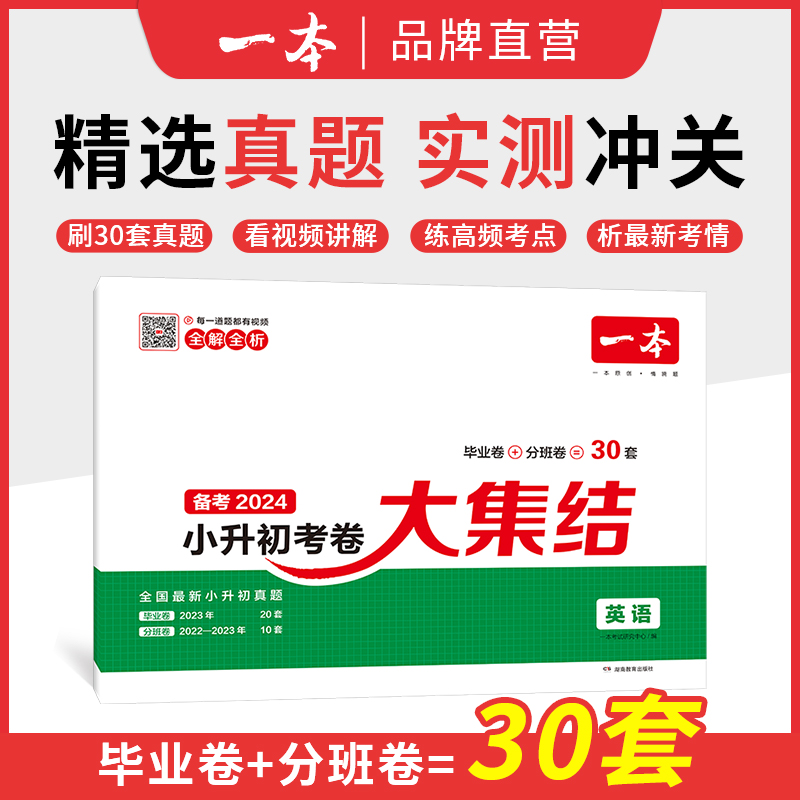 2024小升初总复习试卷一本小学毕业升学考卷大集结语文数学英语小升初真题试卷小学毕业升学考试模拟卷六年级升学试卷全国版-图2