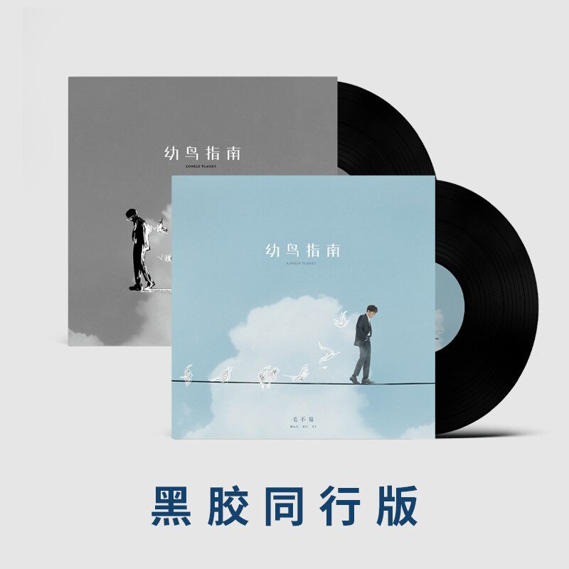【正版音像】毛不易《幼鸟指南》黑胶同行版（黑胶2LP） - 图0