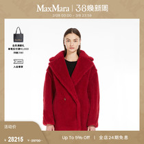 (Stars the same) MaxMara 2024 Early spring New Teddy Short Big Coat Jacket 1081034106