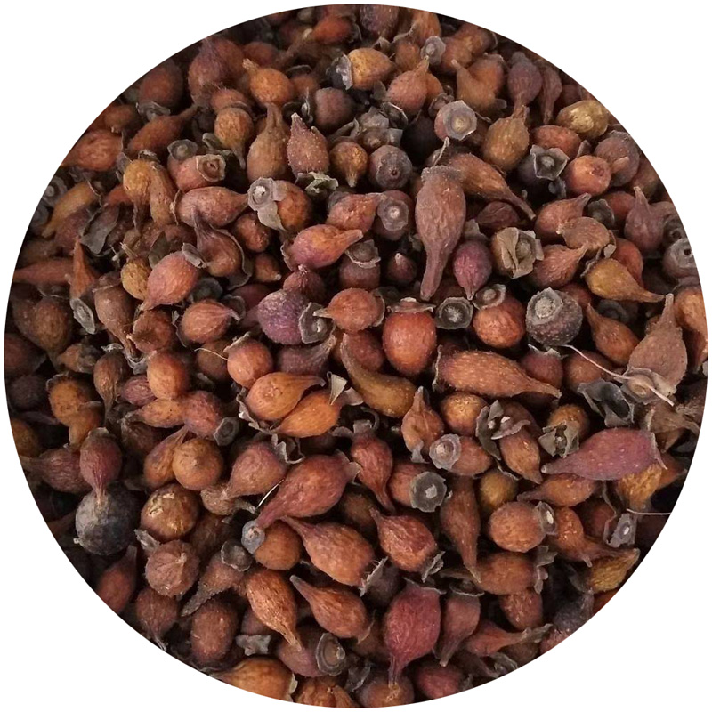 野生金樱子种子制栲胶熬糖酿酒园艺经济药用价值高攀援灌木篱笆墙 - 图3