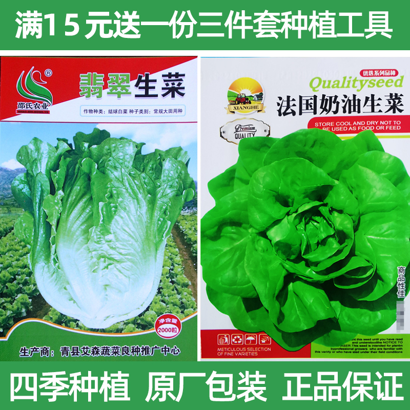 四季蔬菜种子阳台庭院易种植生菜黄瓜韭菜草莓香菜葱蒜小白菜种籽 - 图2