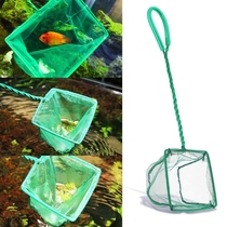 6-Pack Fish Feeder Supplies Feeding Ring Aquarium