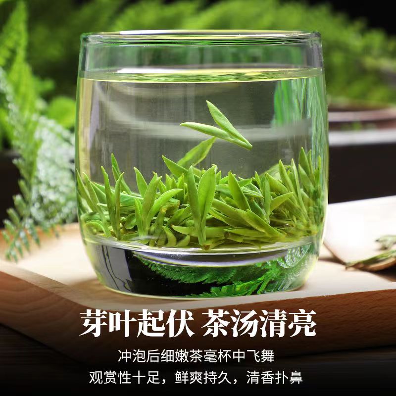 岳西翠尖翠芽精品贡尖绿茶翠兰礼茶明前芽茶叶2024新茶安徽毛峰 - 图3