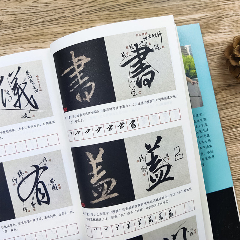 圣教序字字析 黄文新著 集王圣教序字例解析全视频教程逐字讲解教学字帖 王羲之圣教序 笔法奥秘掌握结构规律大唐三藏 圣教序