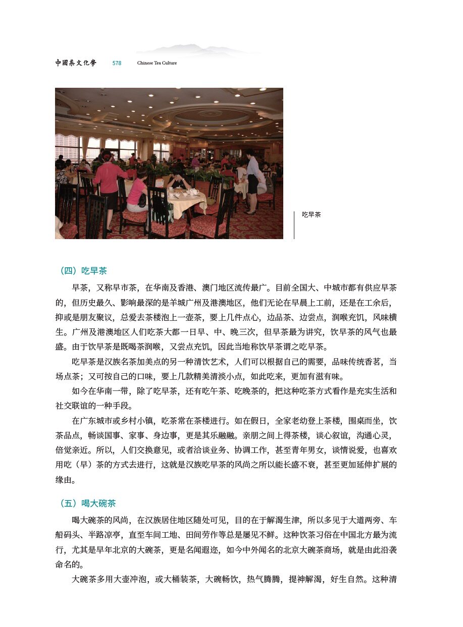 正版 中国茶文化学 茶学泰斗姚国坤教授新作 中国茶叶知识的书茶文化茶道书籍从零开始学泡茶品茶师文化 中国农业出版社