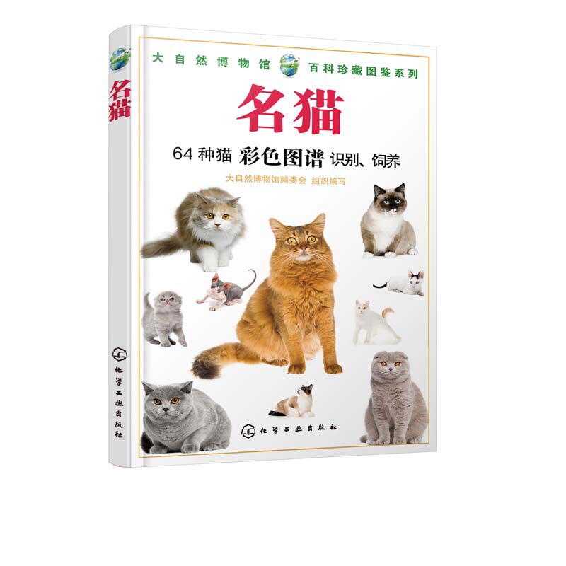 世界名猫推荐品牌 新人首单立减十元 21年6月 淘宝海外