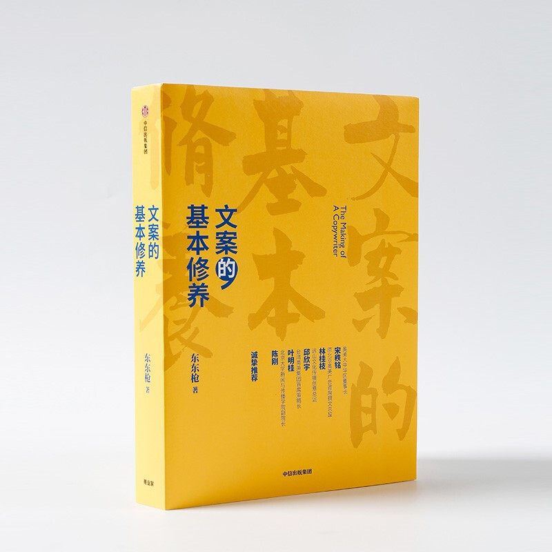 文案的基本修养 东东枪 六里庄遗事、俗话说、鸳鸯谱、拿不动的世界作者 一线营销广告创意工作心得 中信出版PT - 图0