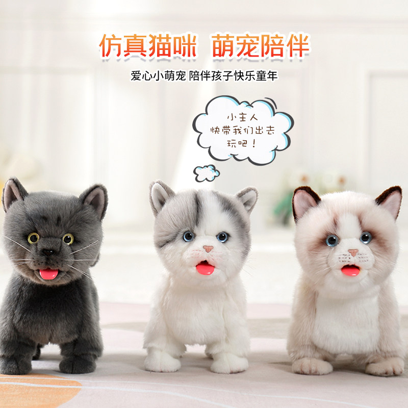 发顺丰喝奶舔舔猫喵玩具猫电动猫 舔舔汪电动/遥控动物/人物