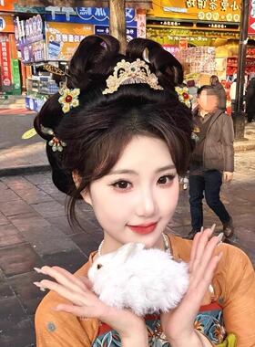 小唐公主唐风古装发髻全套仙气