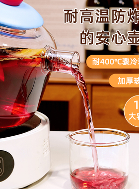 养生壶多功能家用大容量煮茶器