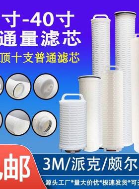 40寸大流量滤芯水处理保安过滤器滤芯3M颇尔PALL派克大流量滤芯5u