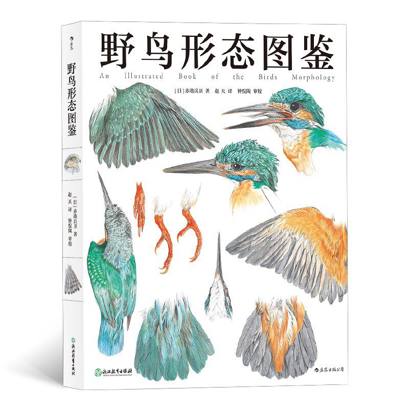 野鸟形态图鉴 观鸟图文记录 鸟类观察爱好者的纸上博物馆 野生动物研究保护科普书籍 后浪正版现货