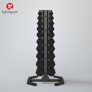 KYLINSPORT十对装固定哑铃架商用存储架专业健身私教工作室收纳架