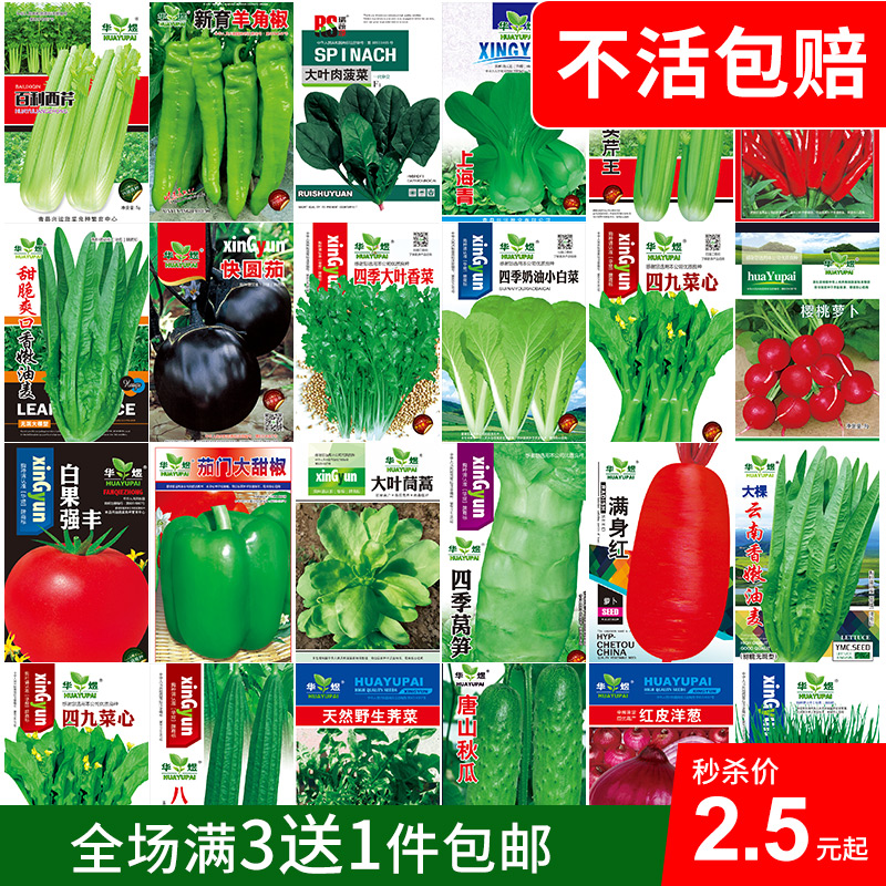 蔬菜水果种子阳台西瓜番茄香菜青菜萝卜生菜小葱菠菜籽菜种籽 - 图0