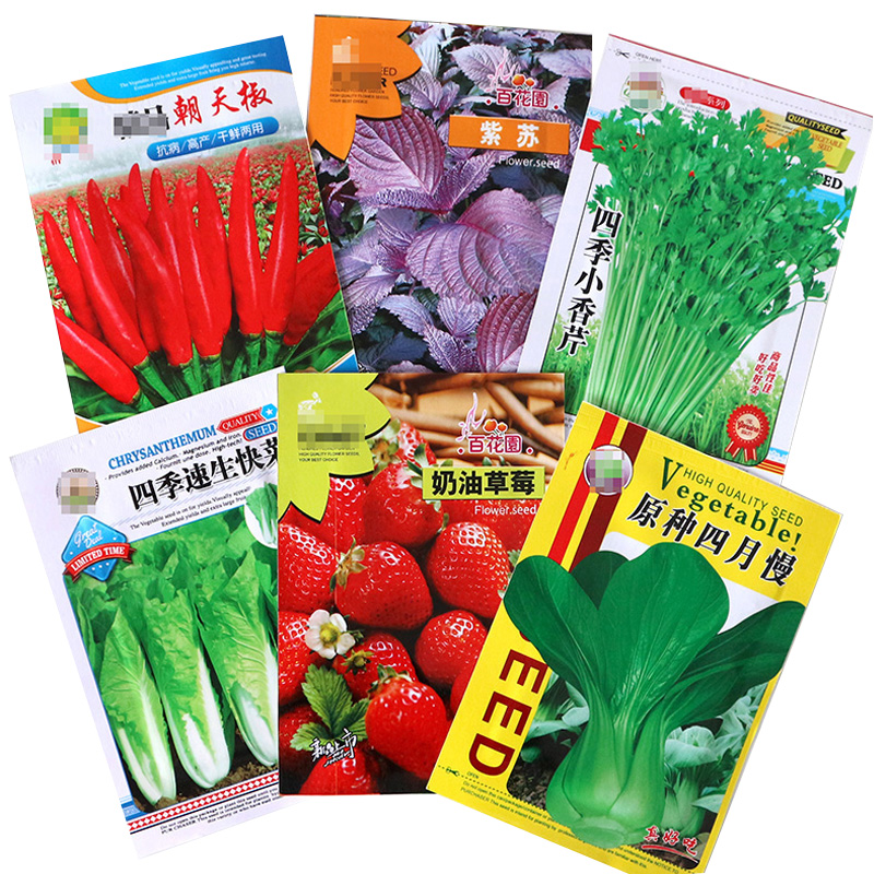 四季蔬菜种子适合秋播种植青菜生菜香菜菠菜籽白菜罗卜籽种孑大全-图3