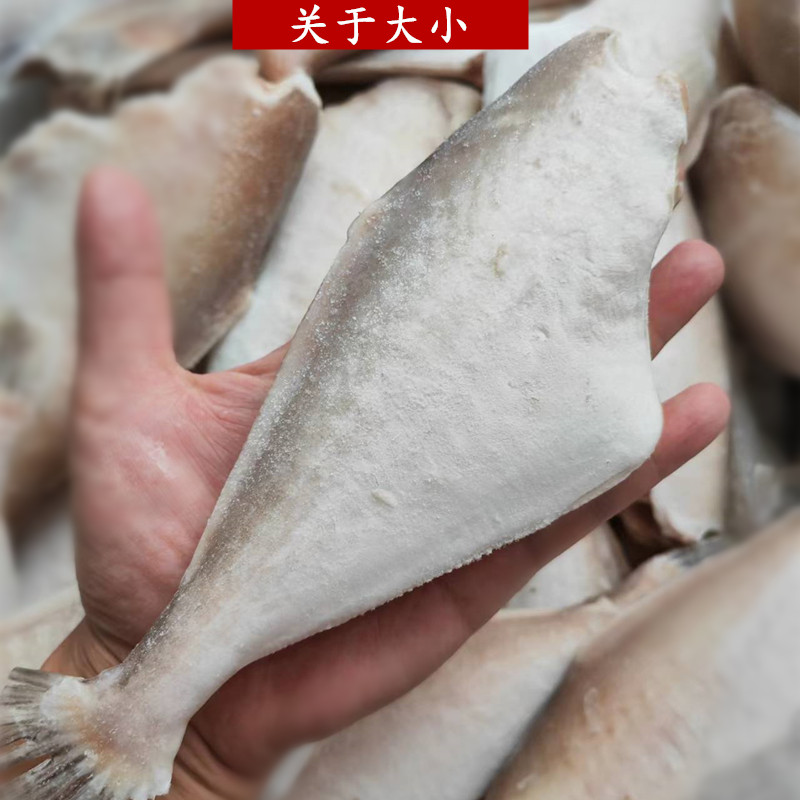 火锅食材冷冻中号耗儿鱼海鲜新鲜剥皮鱼马面鱼扒皮鱼大号商用批发 - 图1