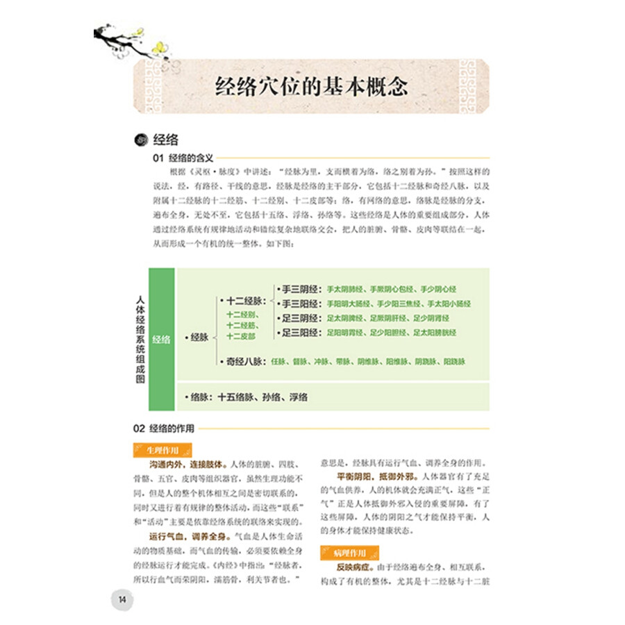 人体经络穴位使用图册 刘民 健身与保健养生保养基础知识大全 中医药大学针灸推拿学院人体经络穴位使用手册 辽宁科学技术出版社