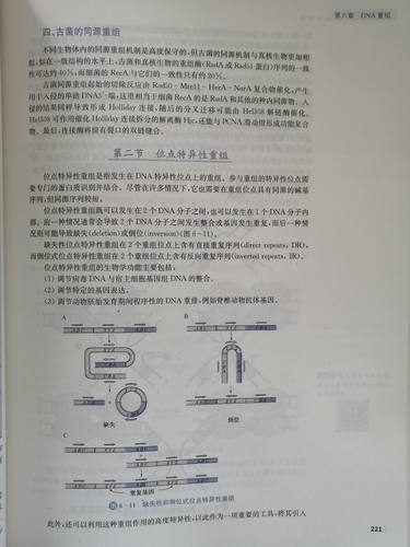 现货分子生物学第二版第2版杨荣武南京大学出版社十三五规划教材分子生物学基本原理知识和技术遗传物质分子本质基因组学-图3