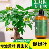 Hair Treasure Tree Fertiliser Horticulture Fertilizer Green Plant Nutrient Solution Indoor Potted Plant Recruiting Tree Rotten Roots Yellow Leaf Plant Universal Flower Fertilizer