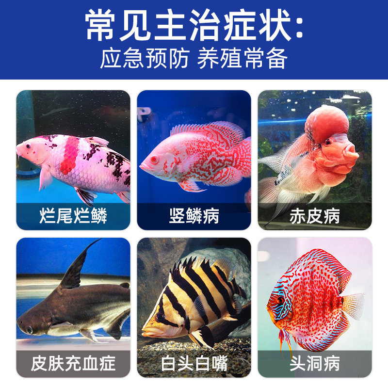 土霉素水族鱼药乌龟专用药鱼用土霉素观赏鱼肠炎药片黄粉养鱼锦鲤 - 图0