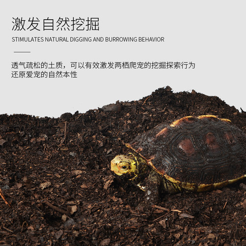 爬宠垫材无菌腐殖土蜥蜴角蛙泥黄缘半水龟陆龟饲养箱造景专用垫材 - 图2