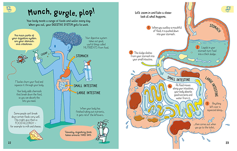 【现货】英文原版 7岁前你需要知道的身体知识 All You Need to Know about Your Body by Age7知识科普儿童英语艺术插画绘本 - 图1