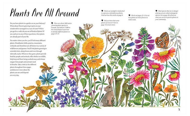 【现货】【Nature All Around】英文原版 大自然就在身边：植物Plants 精装艺术插画绘本 自然科普 6岁以上 儿童进口图书 善优 - 图1