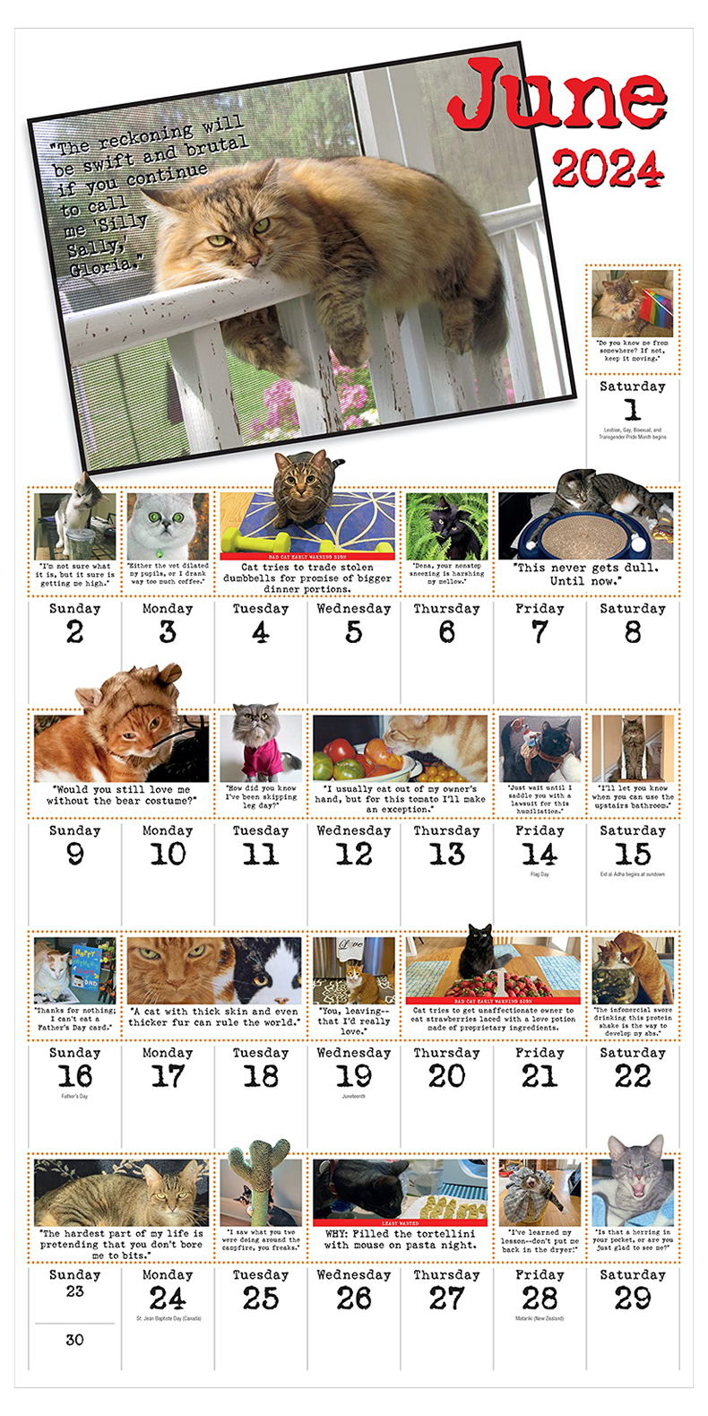 【预售】Bad Cat Wall Calendar 2024: Celebrating the Misfits of the Feline World 日历 挂历 英文原版 - 图3