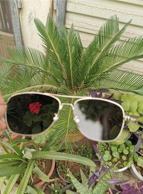 墨镜钛合金司机偏光镜