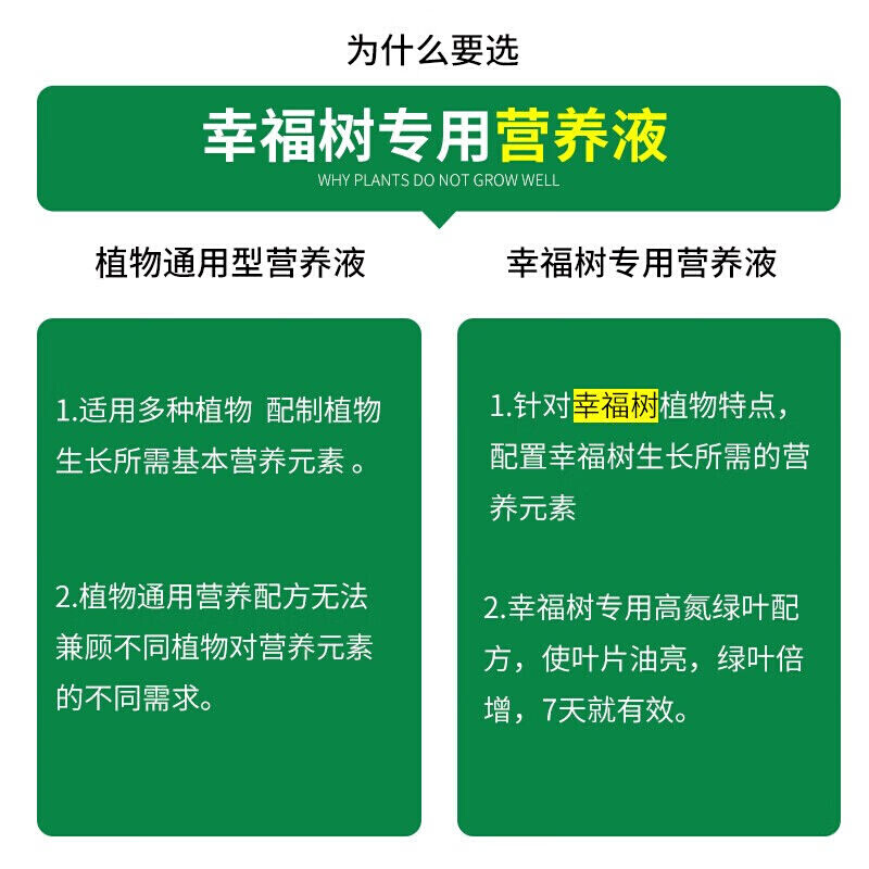 德沃多肥料幸福树专用植物营养液500ml园艺绿植花卉盆栽养花肥料 - 图3