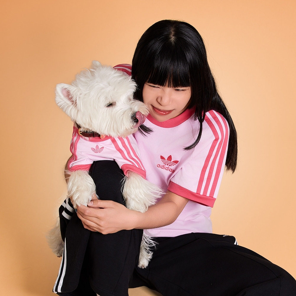 经典时尚运动短袖T恤男女夏季adidas Originals阿迪达斯三叶草,淘宝优惠券,粉丝福利购,淘宝优惠卷